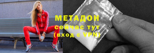 прущие грибы Волосово