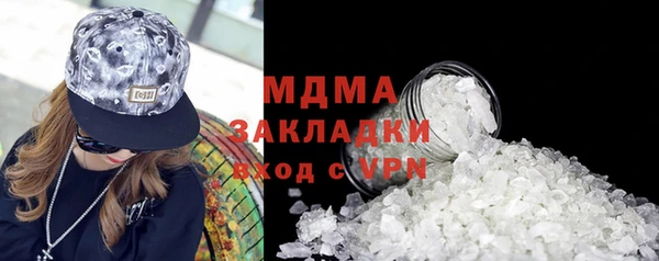 прущие грибы Волосово