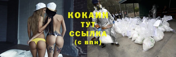 прущие грибы Волосово