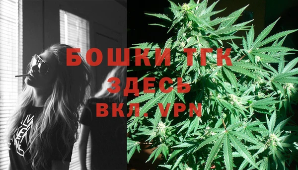 прущие грибы Волосово
