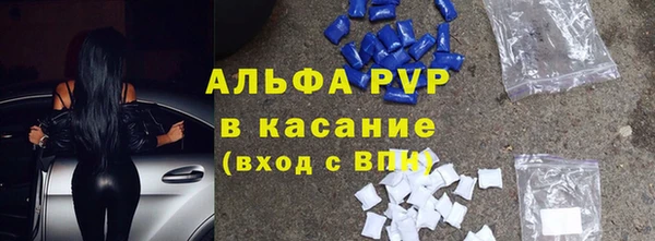 прущие грибы Волосово