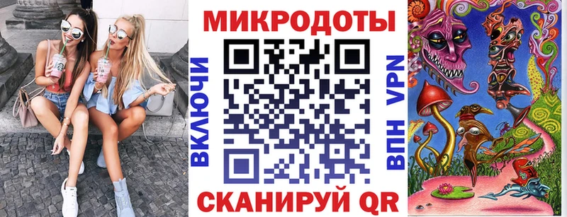 закладка  Зея  Псилоцибиновые грибы Psilocybine cubensis 